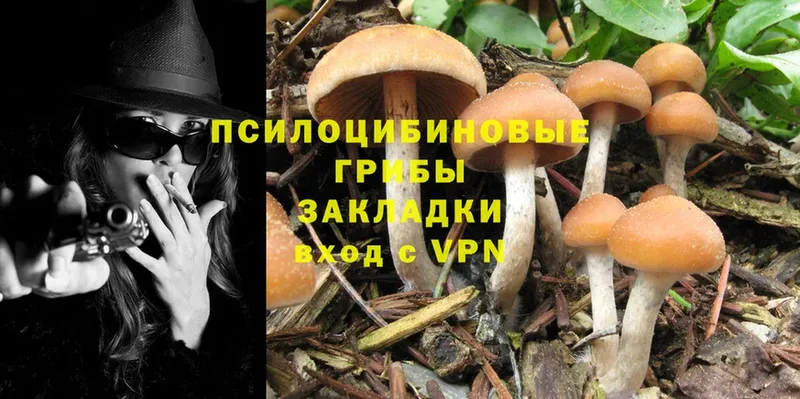 Псилоцибиновые грибы Magic Shrooms Советская Гавань